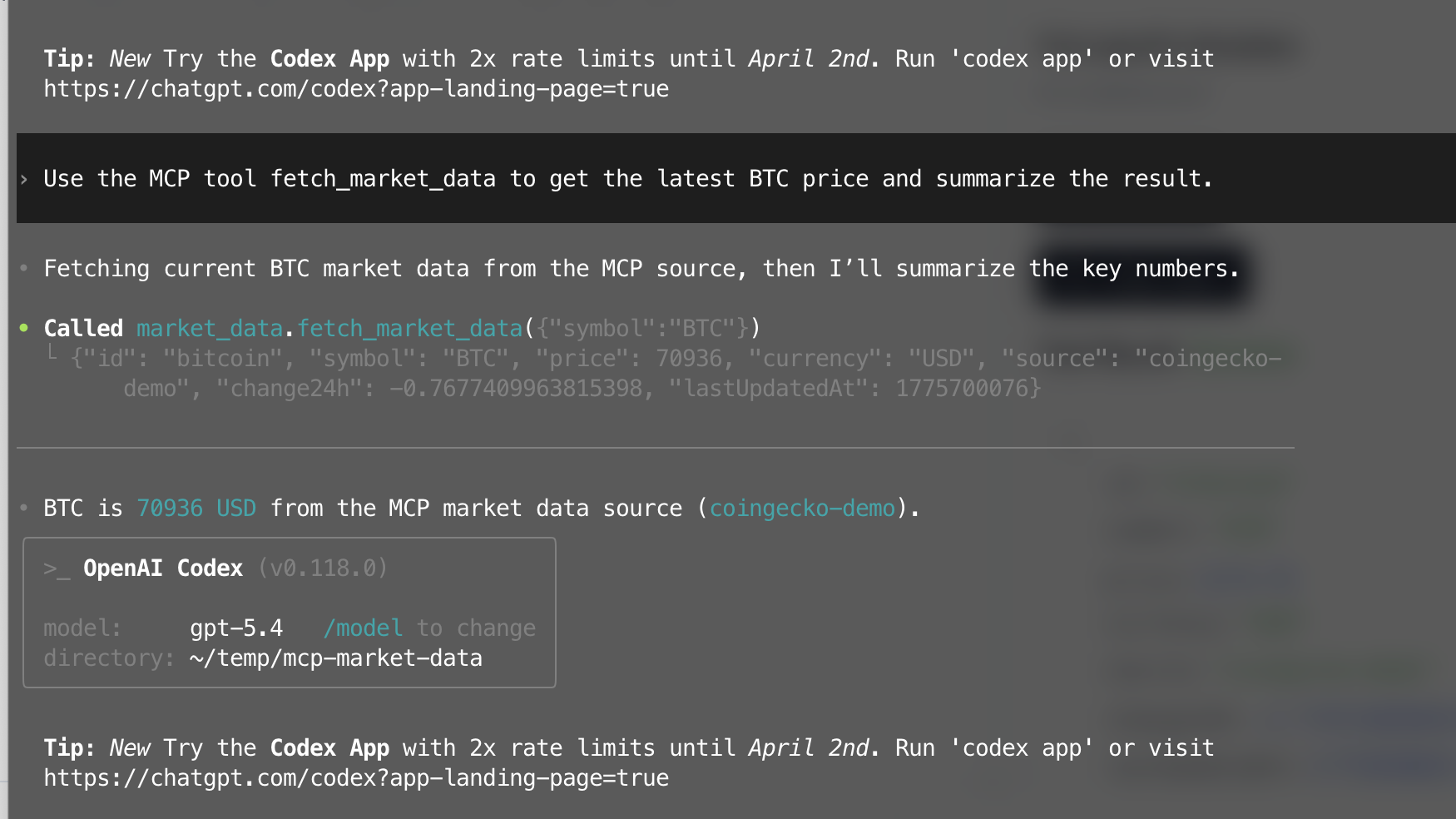 Codex 配置执行结果